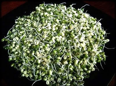 Cherupayar Thoran | Mulappicha Cherupayar Thoran | Sprouted Green Gram Stir Fry