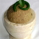 Bitter gourd Chutney-Pavakka-Kayapakka Chammanthi|kothiyavunu.com