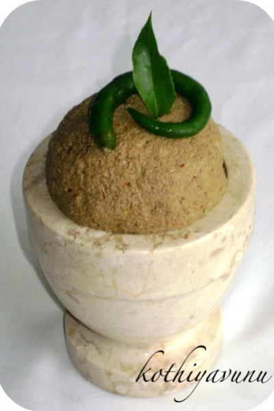 Bitter gourd Chutney-Pavakka-Kayapakka Chammanthi|kothiyavunu.com