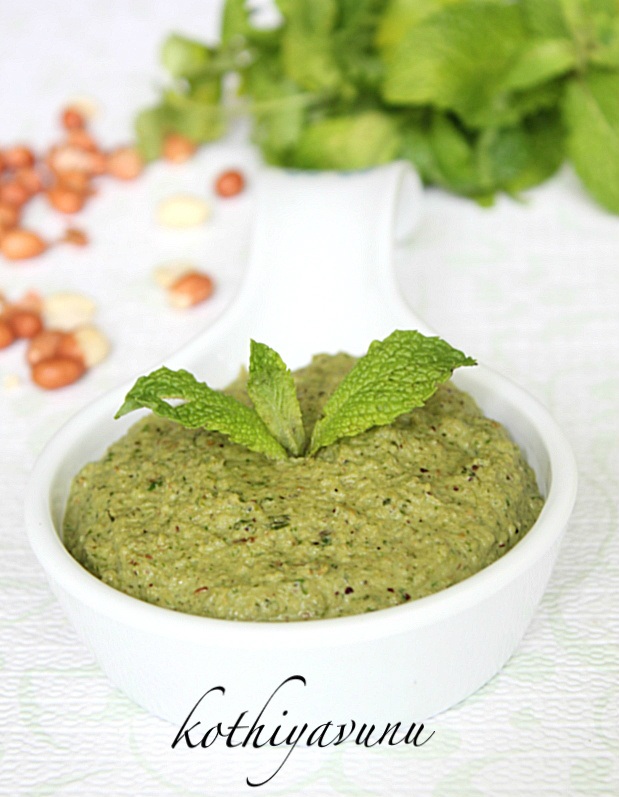 Peanut Mint Coriander Chutney Recipe Kothiyavunu Com