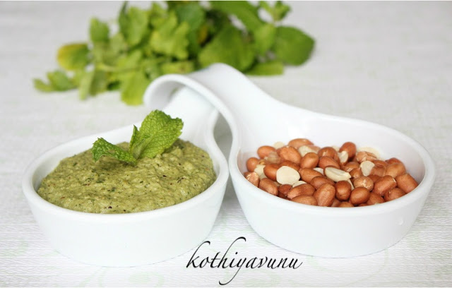 Peanut Mint Coriander Chutney|kothiyavunu.com