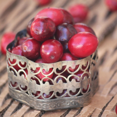 Indian Style Cranberry Chutney
