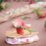 Max & Rubys Frozen Berry Waffle Cookie |kothiyavunu.com