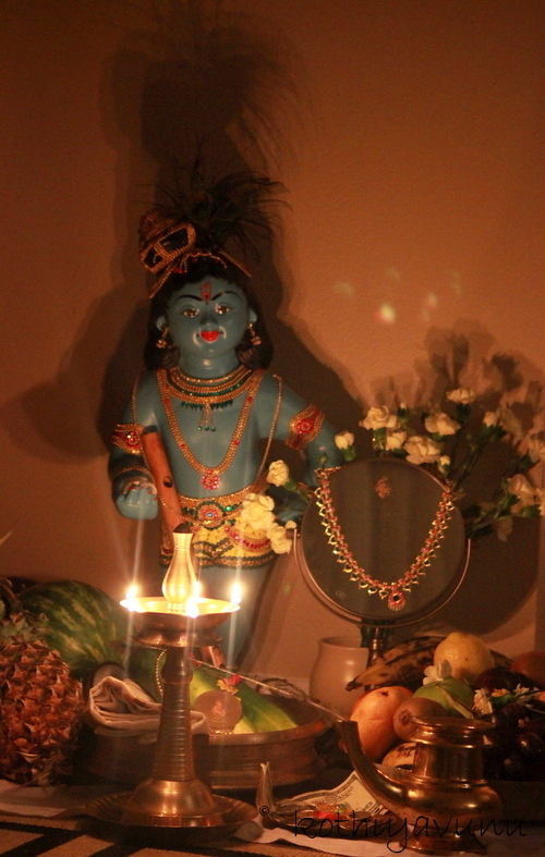 Vishu-Kani /upload/thumbnail1/2025/2/24/201041/thumb2