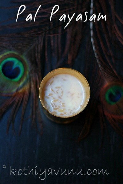 Traditional Kerala Pal Payasam|kothiyavunu.com