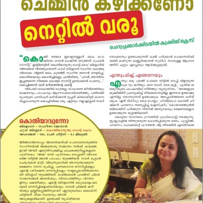 Sharing yet another Recognition!!!  Featured in ‘Girhalakshmi’ Magazine of Mathrubhumi Jan 2014 edition.