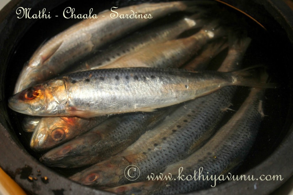 Mathi-Chaala Varuthathu -Mathi Fry -Sardines Fry Mathi-Chaala Varuthathu -Mathi Fry -Sardines Fry |kothiyavunu.com