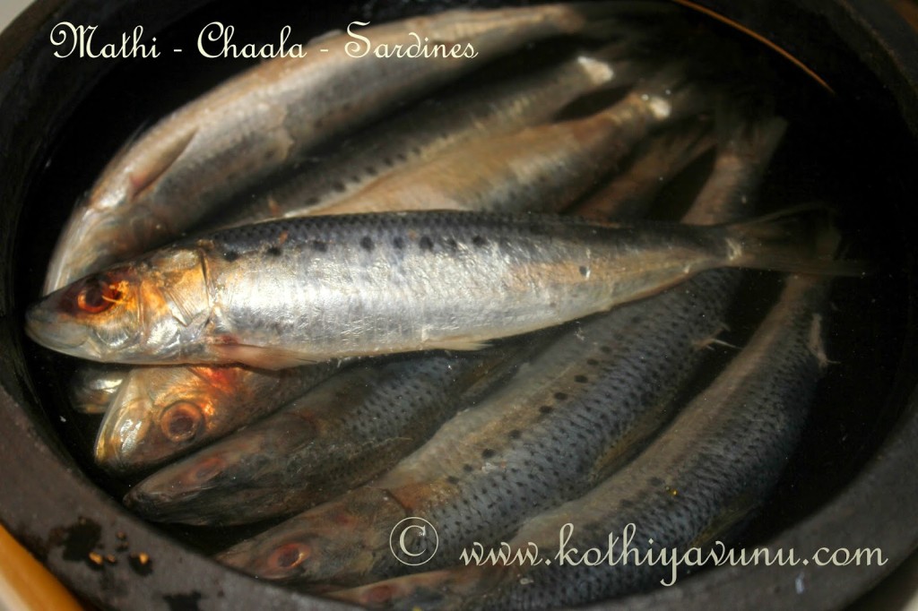 Mathi-Chaala Varuthathu -Mathi Fry -Sardines Fry |kothiyavunu.com