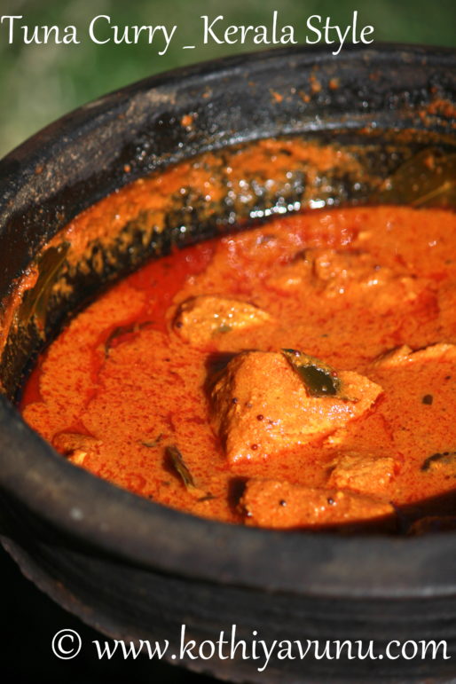 Kerala Style Tuna Curry-Nadan Choora Meen Curry |kothiyavunu.com